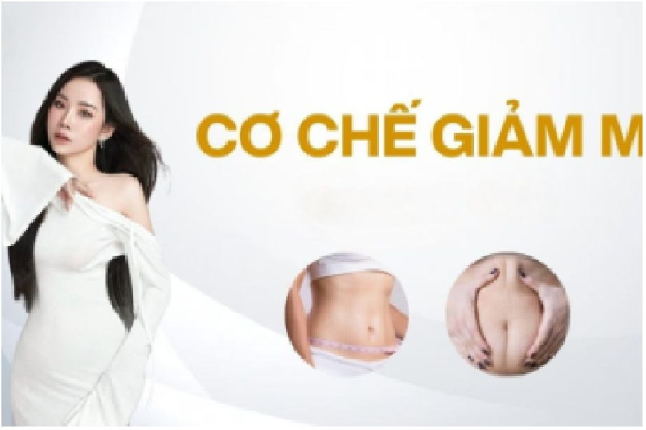 CHỈ MINI SMAS LÀ GÌ?